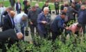 Yomra Belediyesi 2 Bin Adet Yomra Elması Fidanı Dağıttı