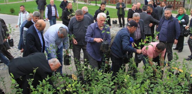Yomra Belediyesi 2 Bin Adet Yomra Elması Fidanı Dağıttı